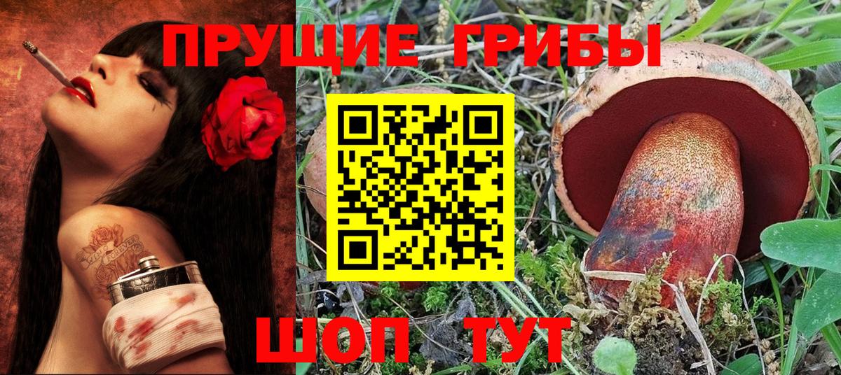 Псилоцибиновые грибы Psilocybe Нягань